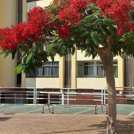 Tropical House Near Beach&Yumbo San Bartolomé Ngoại thất bức ảnh