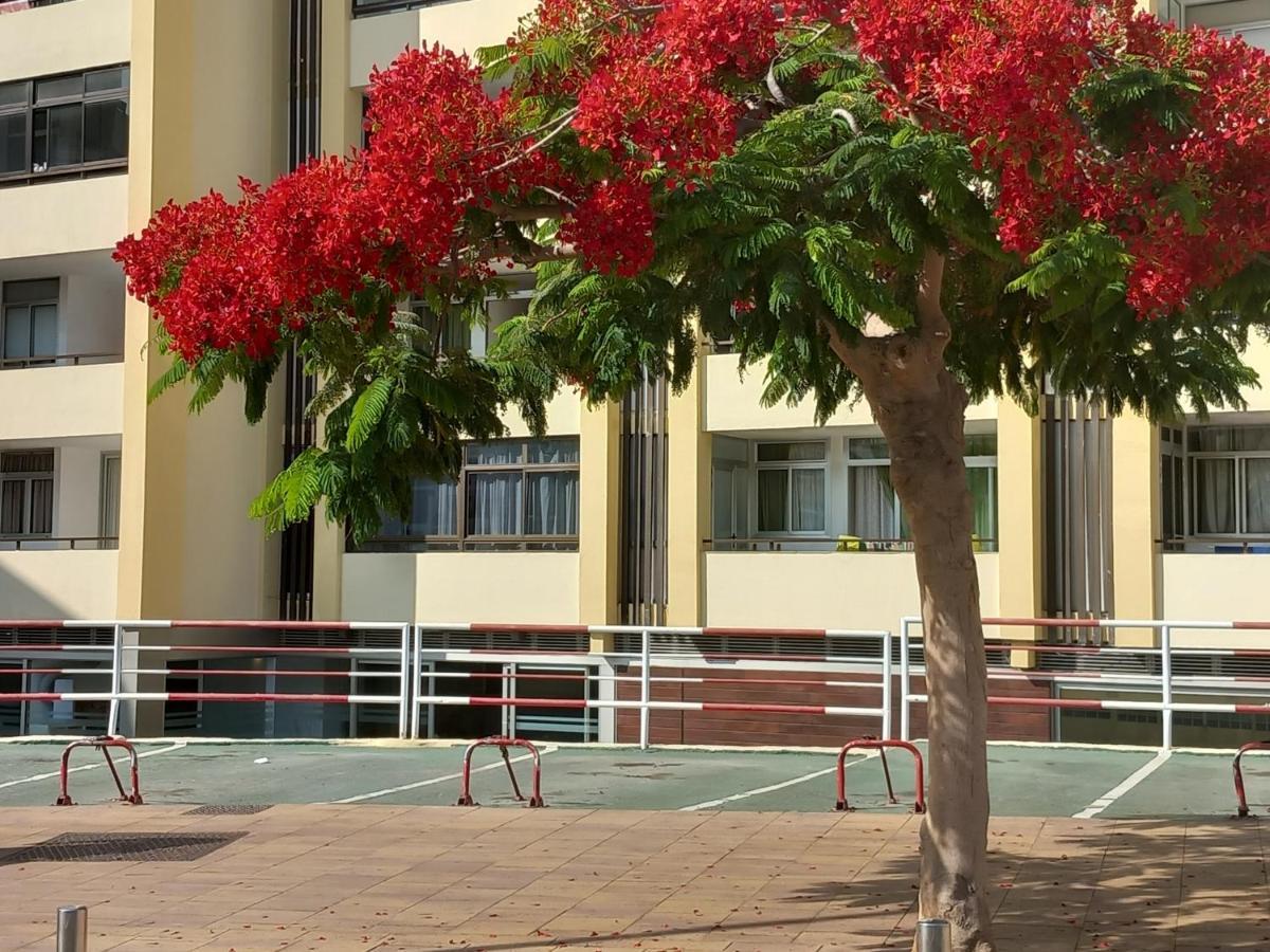 Tropical House Near Beach&Yumbo San Bartolomé Ngoại thất bức ảnh